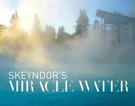 Skeyndor’s Miracle Water